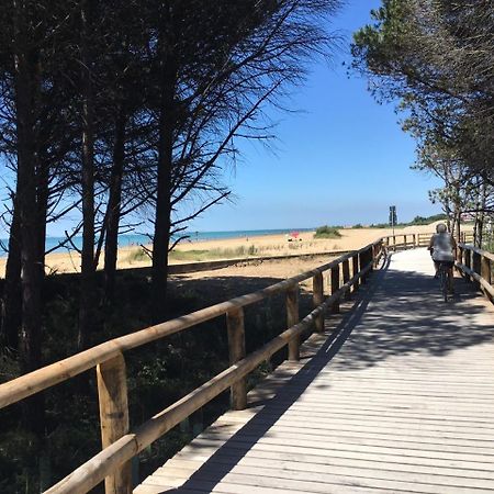 Appartamenti Sirio Via Pesci 6,8,14 Bibione Buitenkant foto